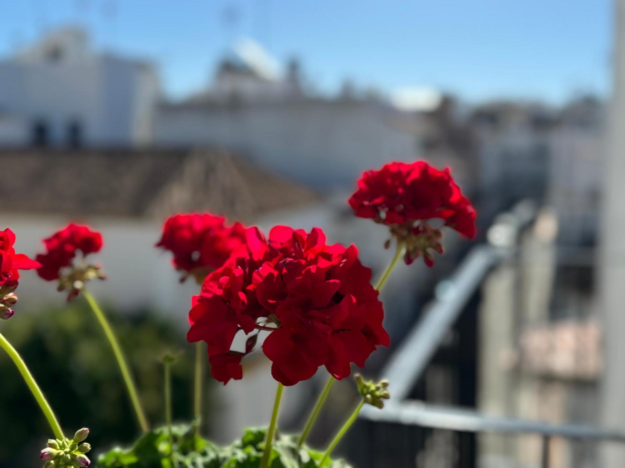 Encantadora Casa En El Corazon De Estepona Esterno foto