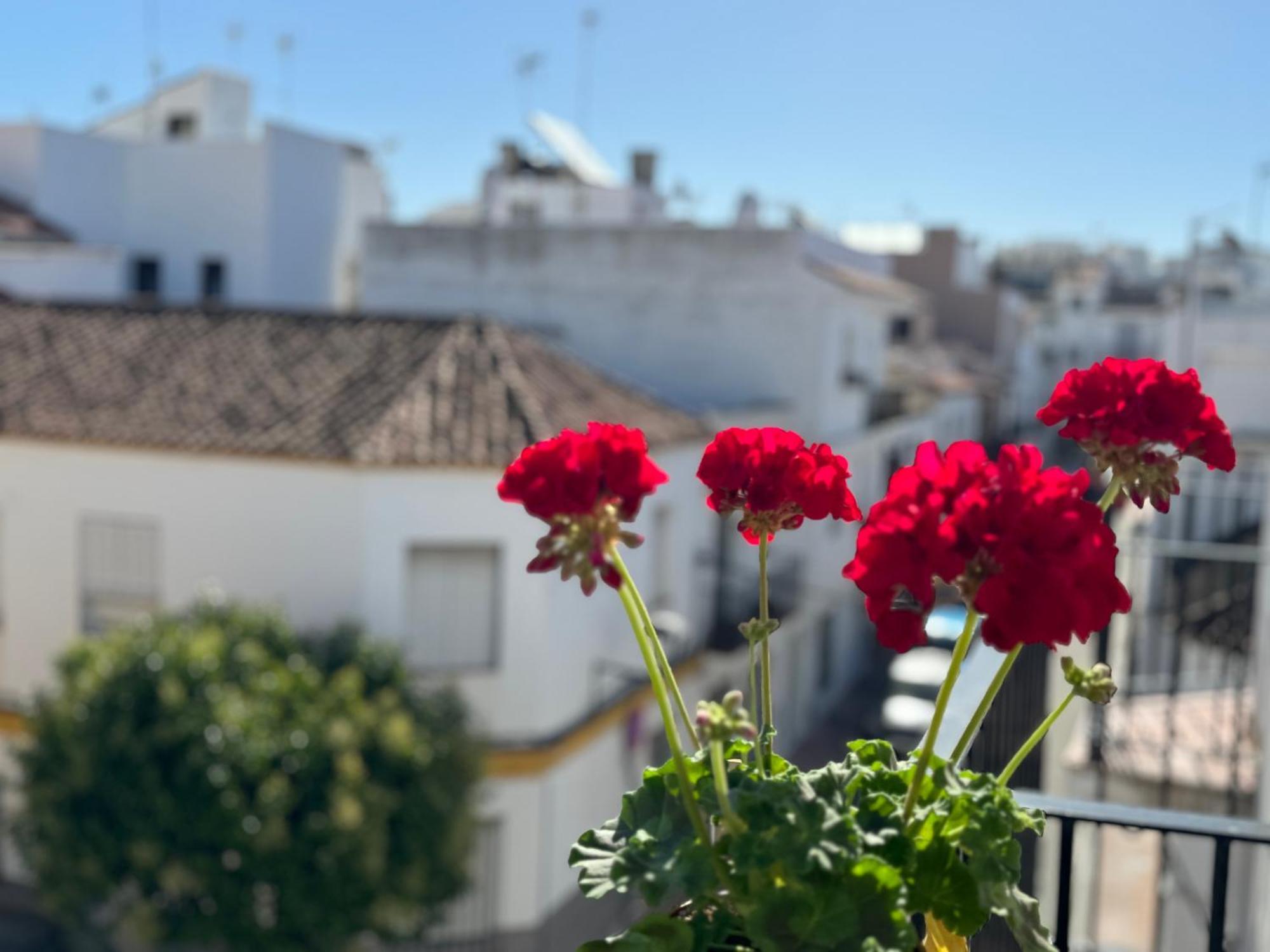 Encantadora Casa En El Corazon De Estepona Esterno foto